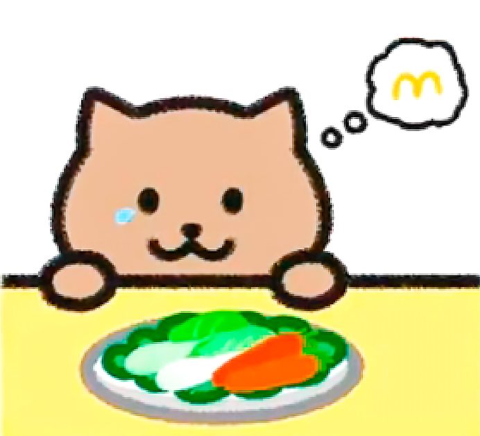 Hình avatar mèo béo trung quốc